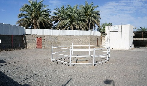 چشمه جاری یَنبُع 