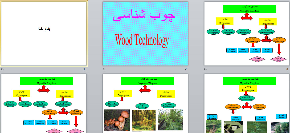 پاورپوینت چوب شناسی