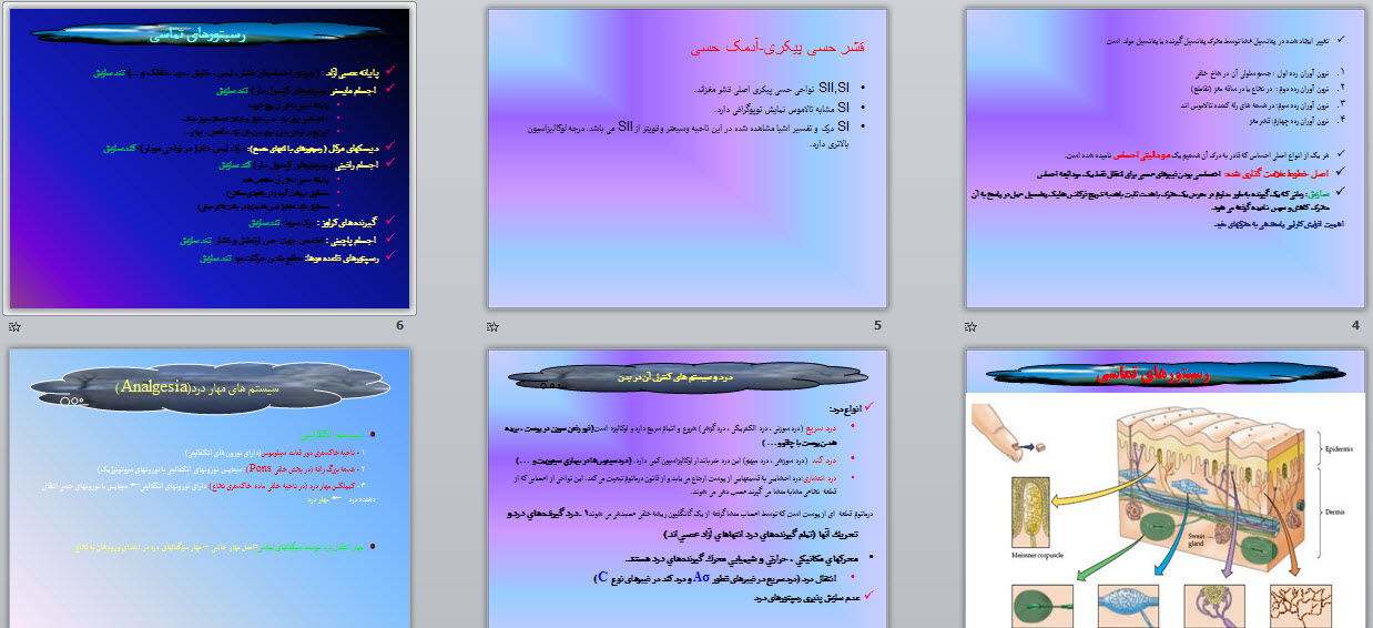 پاورپوینت حواس