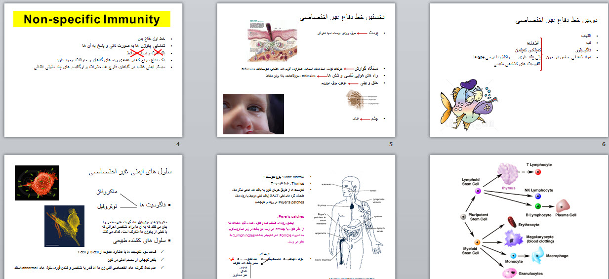 پاورپوینت دستگاه ایمنی بدن و ایمانولوژی