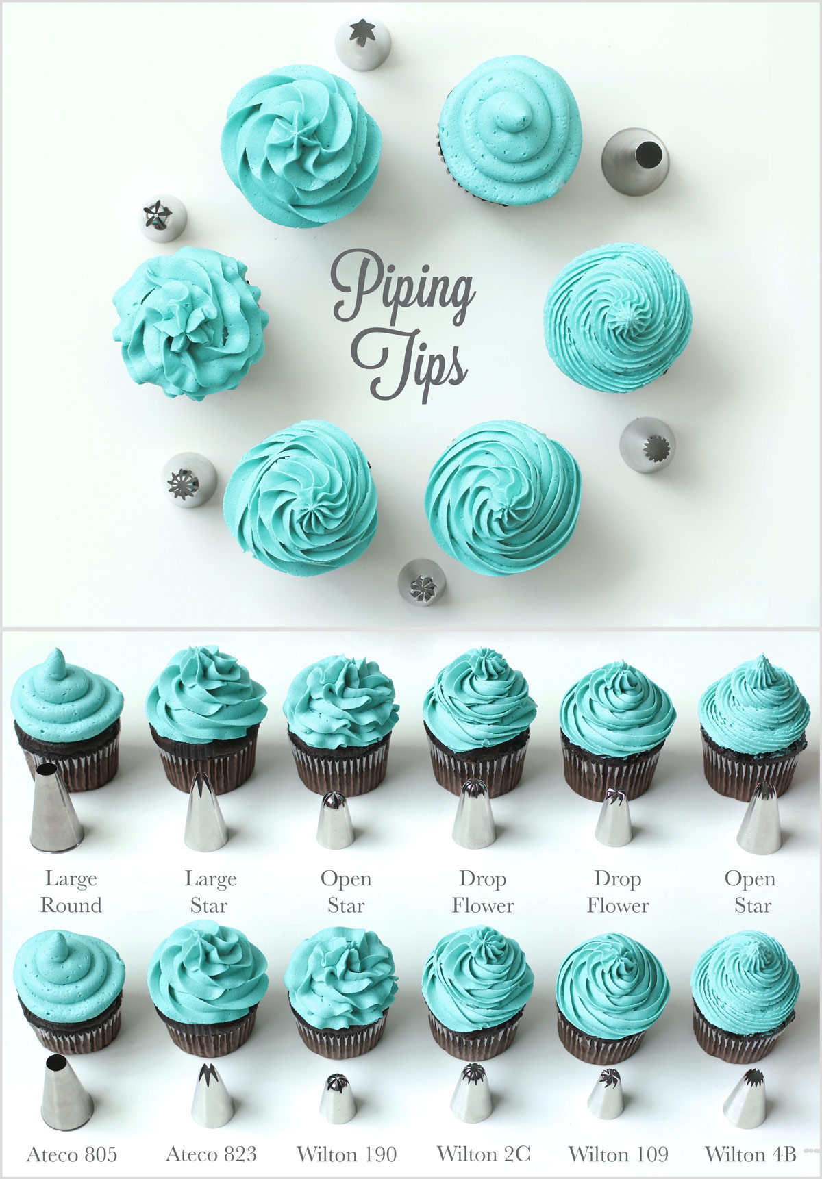 [تصویر:  5447_piping_tips_infographic.jpg]