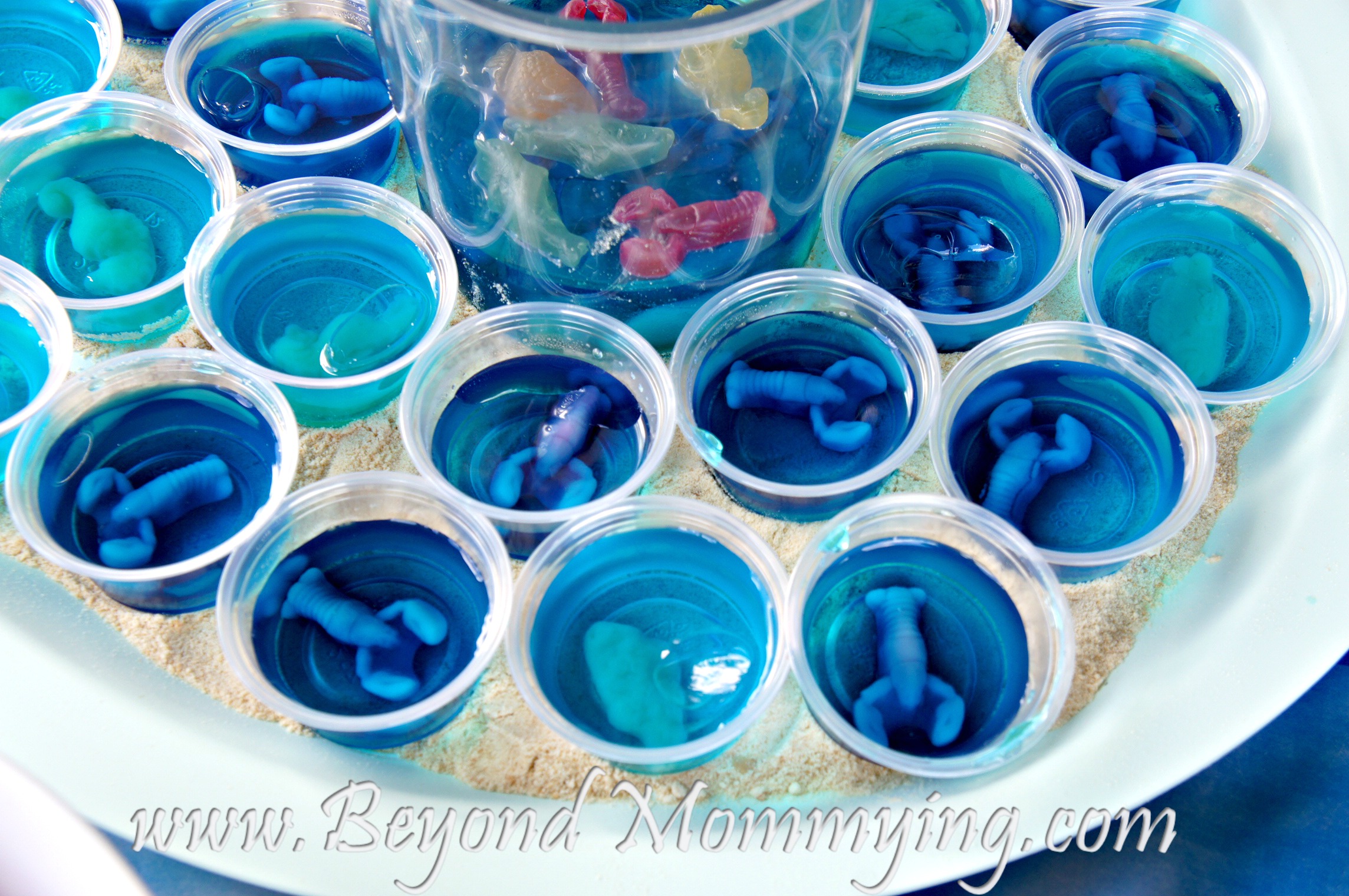 [تصویر:  jello_mini_fish_bowls_wm.jpg]