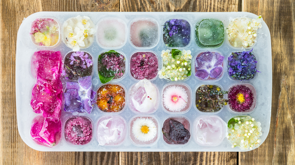 [تصویر:  ice_cube_tray_feature_ss.jpg]
