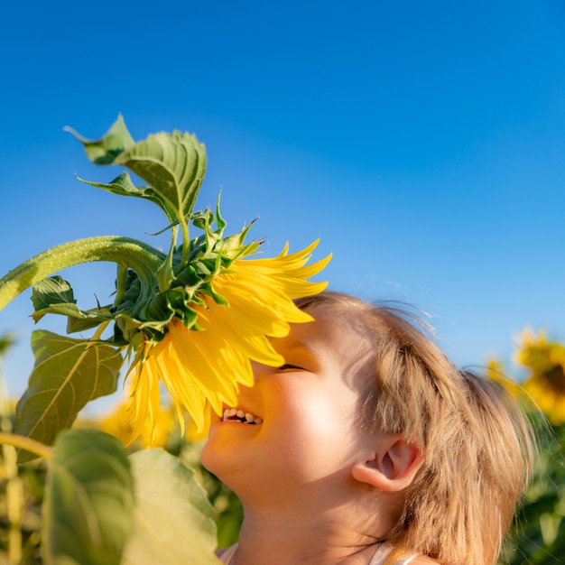 [تصویر:  happy_child_playing_with_sunflower_outdo...85_130.jpg]