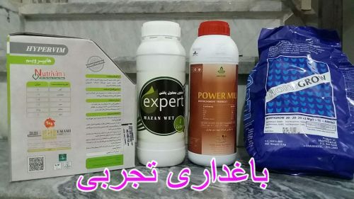 محلولپاشی تقویتی
