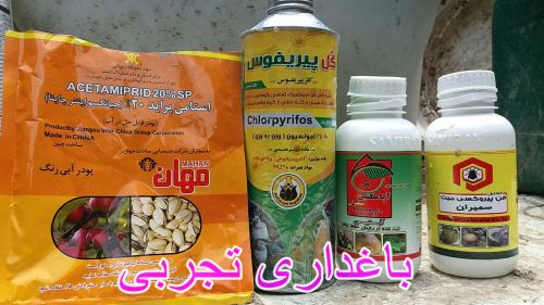 سمپاشی کامل تابستانه