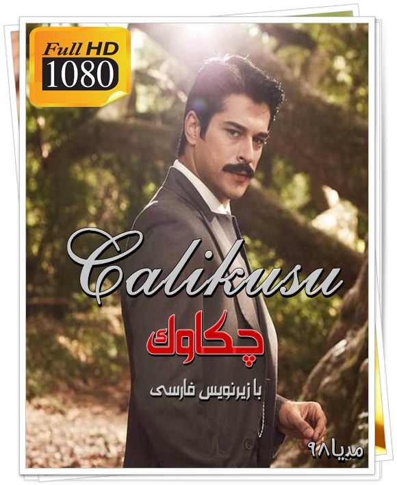 دانلود سریال ترکی چکاوک Calikusu 2013 با زیرنویس فارسی
