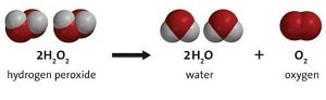 معادله ی تجزیه آب اکسیژنه