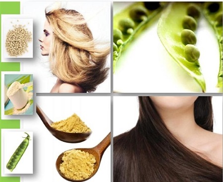 درمان ریزش مو و تقویت موی سر با نخود Pea