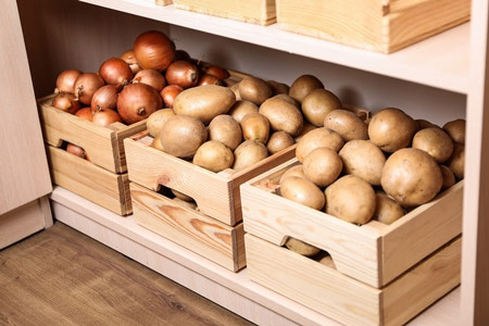 بهترین روش نگهداری سیب زمینی چیست؟ store potatoes