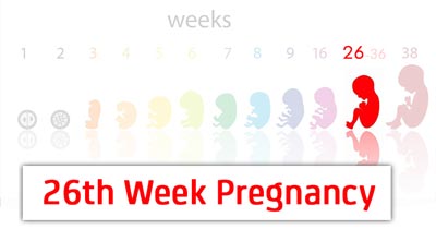 عکس مطلب هفته بیست و ششم بارداری