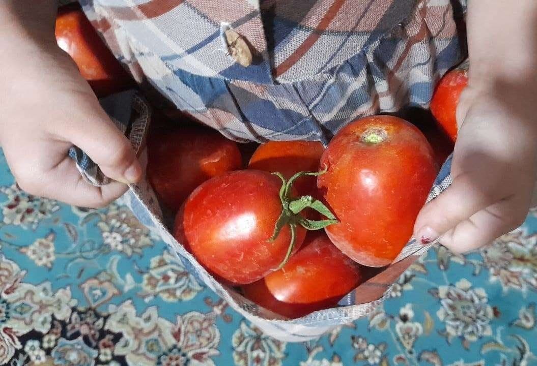 غزل صباغ زاده