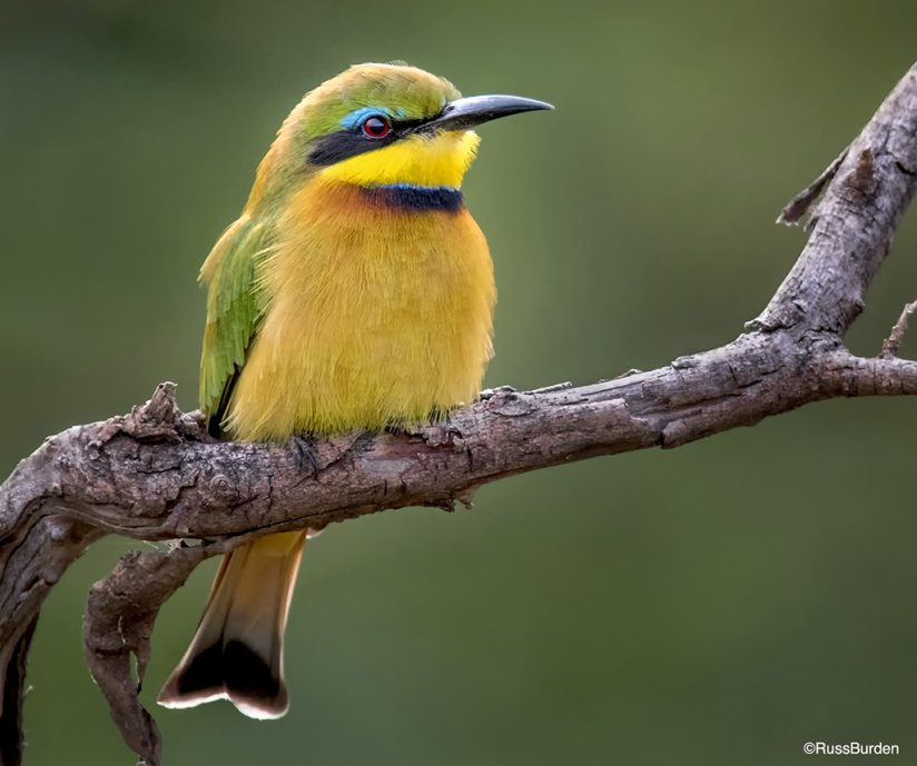 سخنان ارزنده 