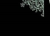 مرحله اول قطعه گمشده